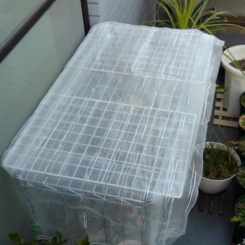 壁の形状に合わせて配置した花台