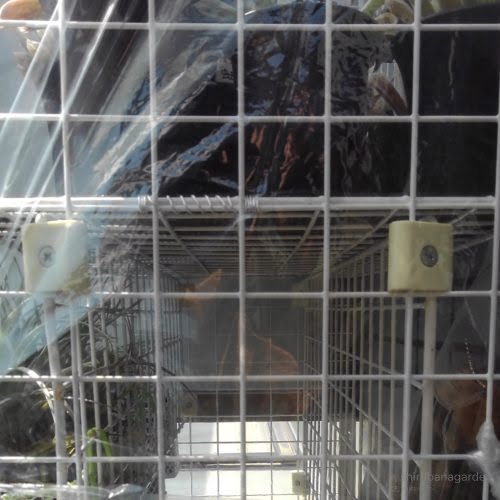 縦にした左右のワイヤーネットがその上の底板を支える