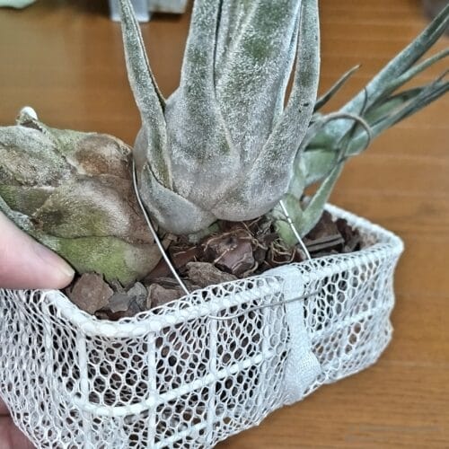 ゆったりめの固定　重さを支えるのではなく飛ばなければよい