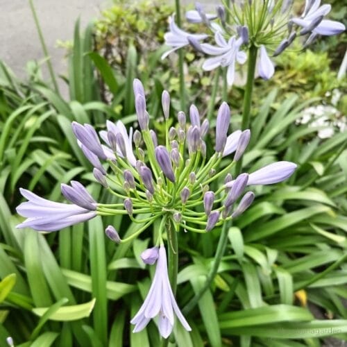 採取元の株はブルー基調